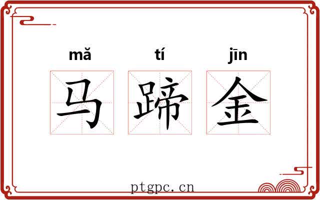 马蹄金