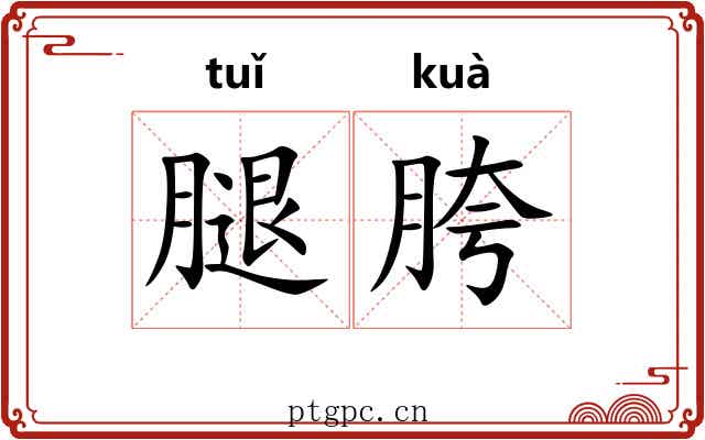 腿胯