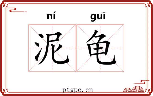 泥龟 泥龟