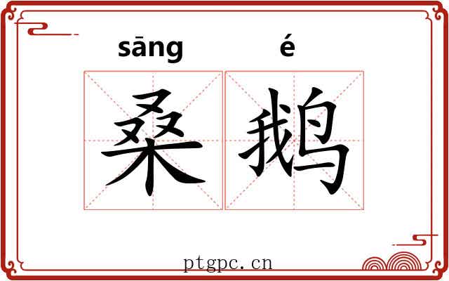 桑鹅