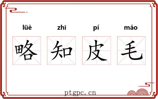 略知皮毛 略知皮毛