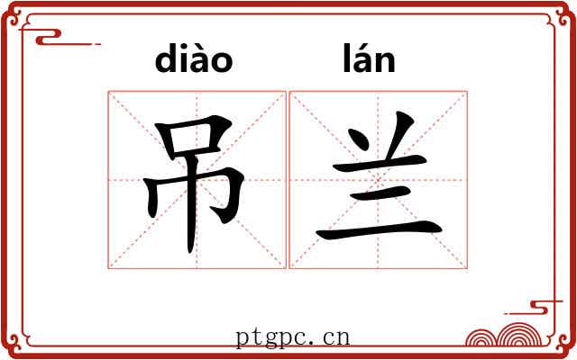 吊兰 吊兰