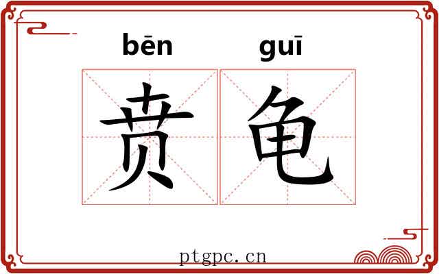 贲龟