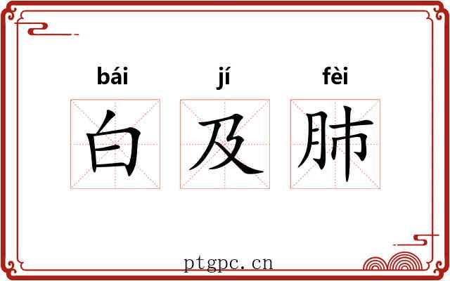 白及肺 白及肺