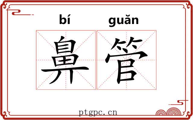 鼻管