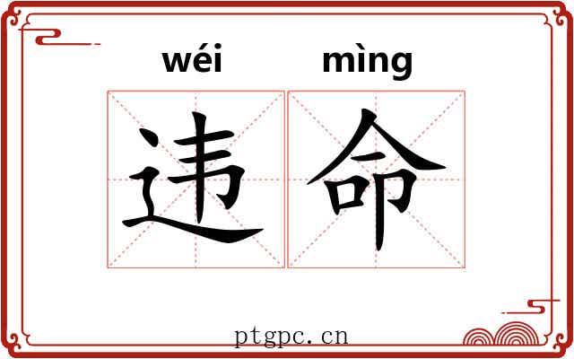 违命