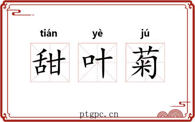 甜叶菊 甜叶菊