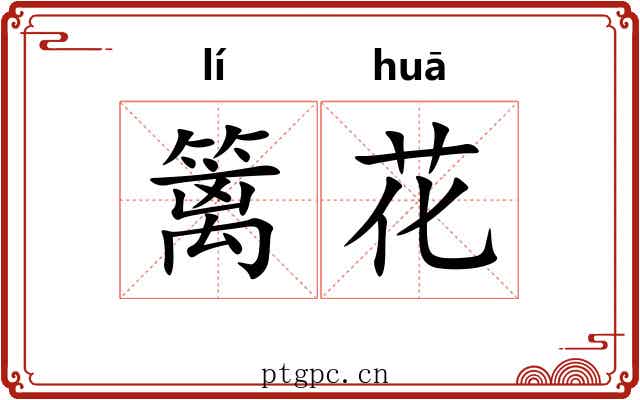 篱花 篱花