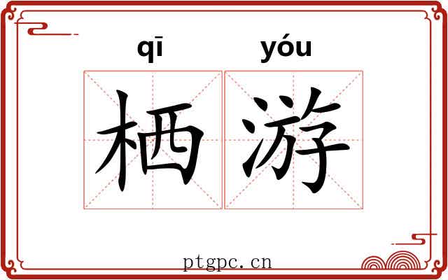 栖游 栖游