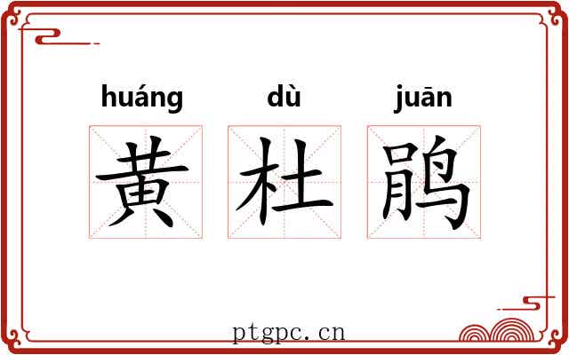 黄杜鹃 黄杜鹃