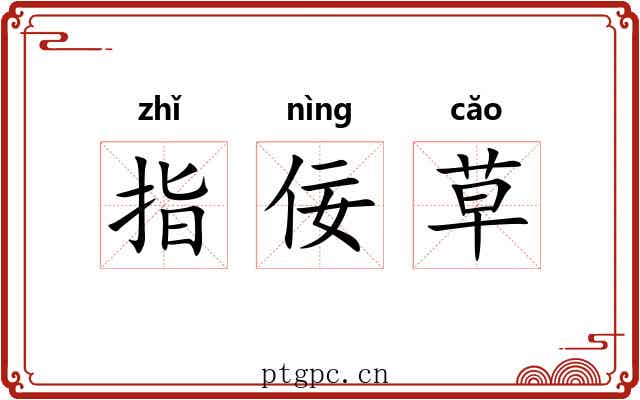 指佞草