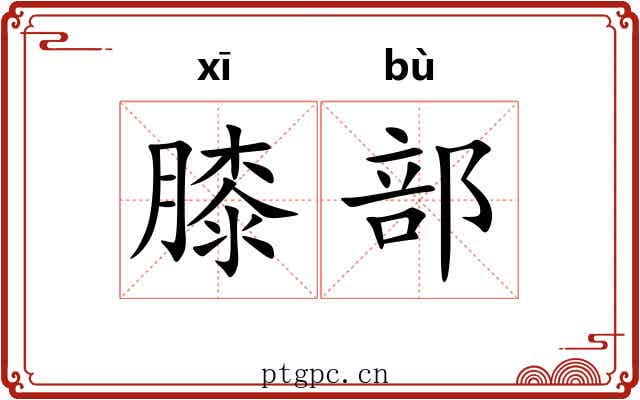 膝部