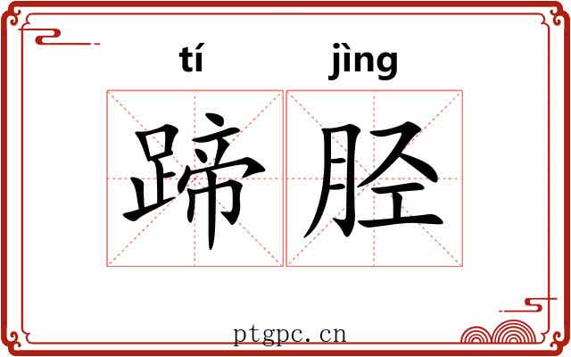 蹄胫