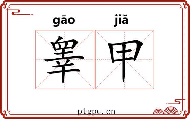 睾甲 睾甲