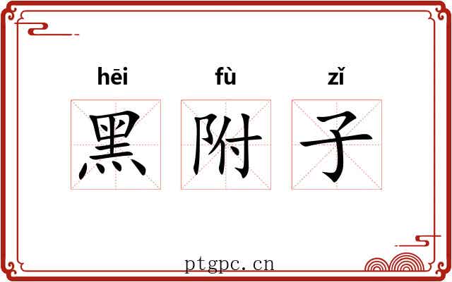 黑附子 黑附子