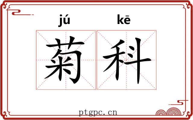 菊科