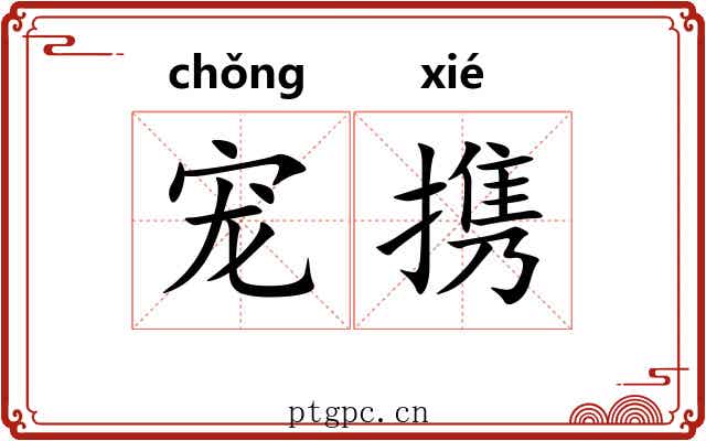 宠携
