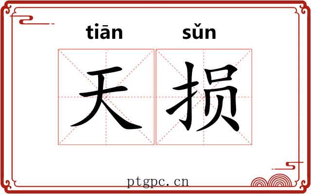 天损