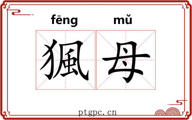 猦母