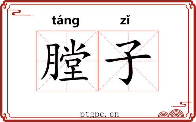 膛子