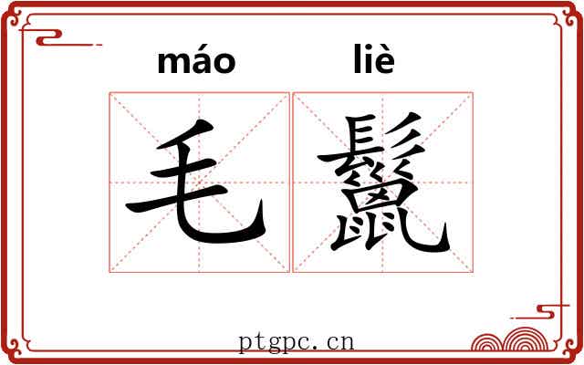 毛鬣 毛鬣