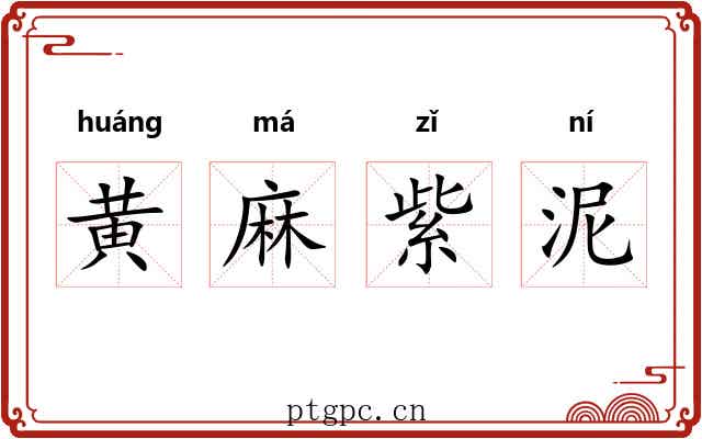 黄麻紫泥 黄麻紫泥