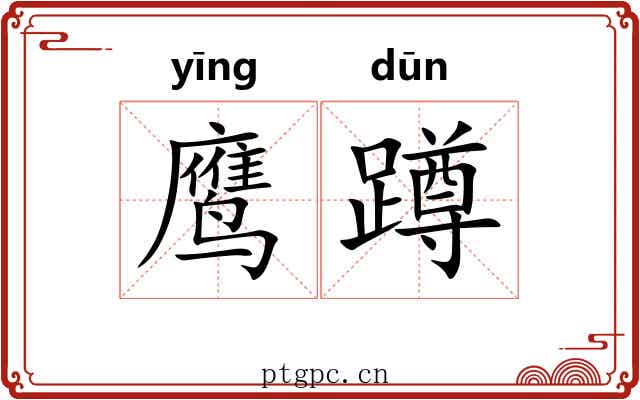 鹰蹲
