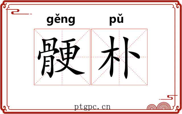 骾朴