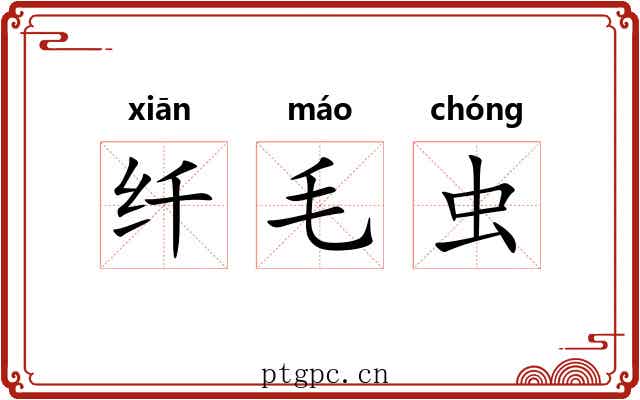 纤毛虫 纤毛虫