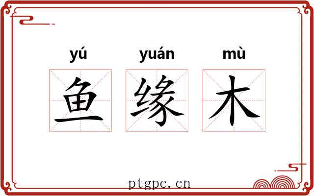 鱼缘木
