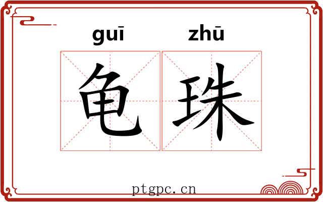 龟珠 龟珠