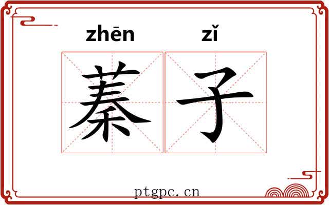 蓁子 蓁子