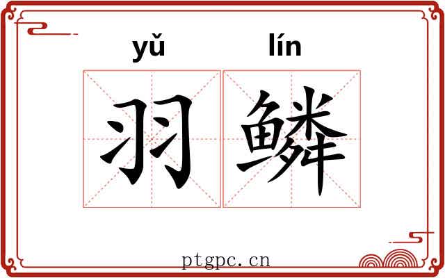 羽鳞