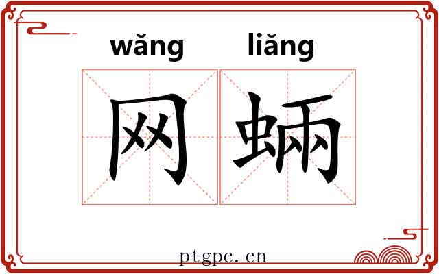 网蜽