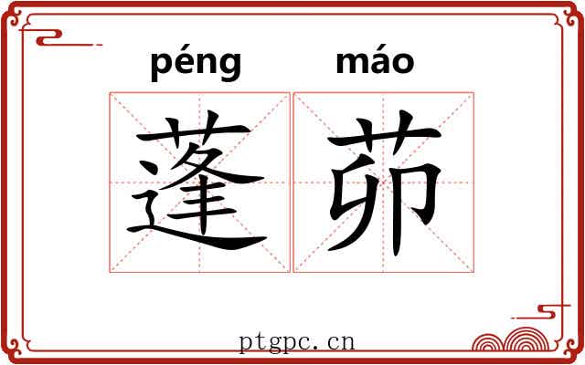 蓬茆