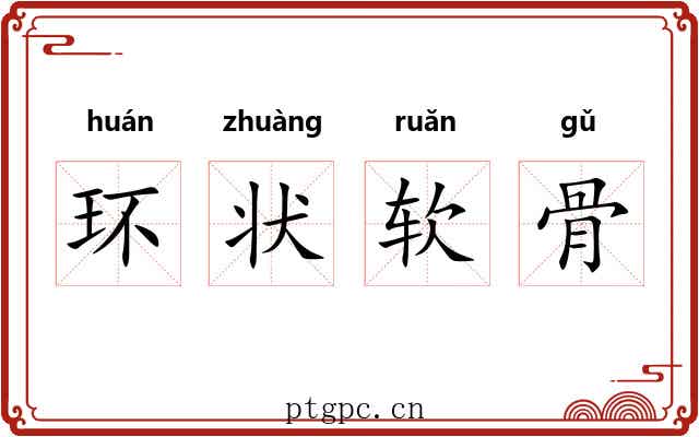 环状软骨 环状软骨