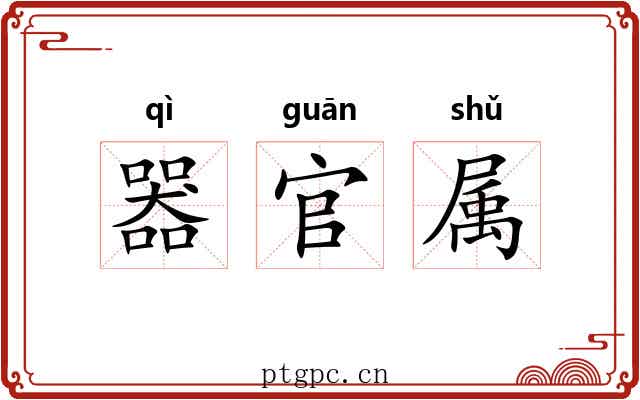 器官属 器官属
