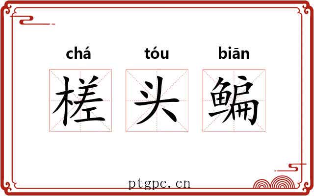 槎头鳊
