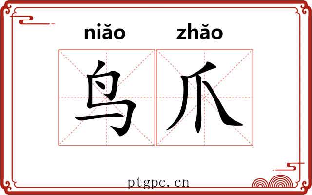 鸟爪 鸟爪