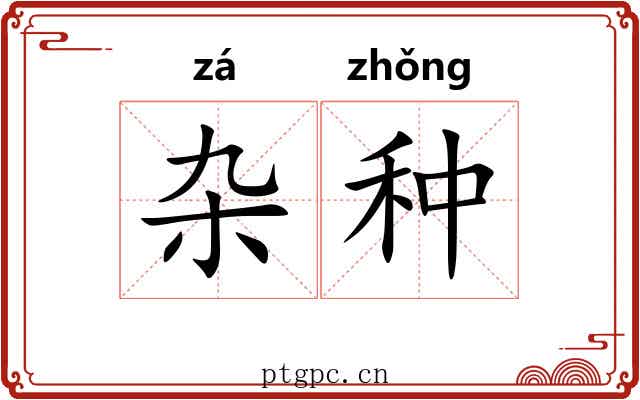 杂种 杂种