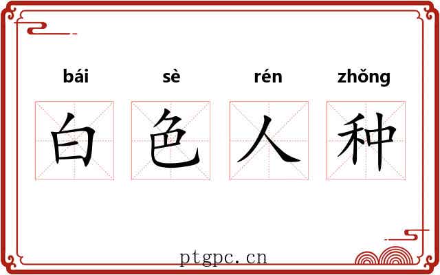 白色人种 白色人种