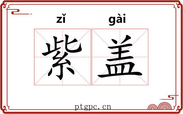 紫盖