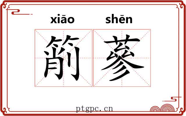 箾蔘
