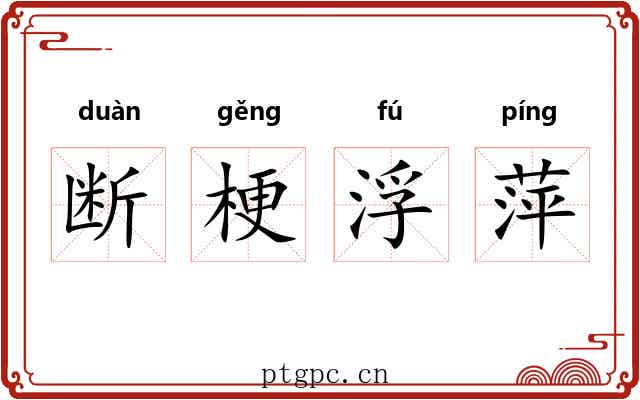 断梗浮萍 断梗浮萍