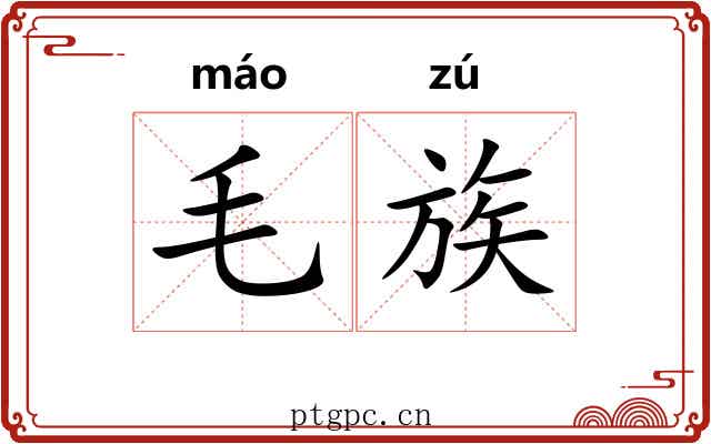 毛族 毛族