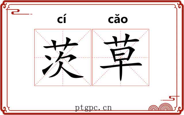 茨草 茨草