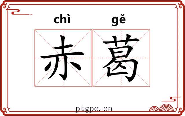赤葛