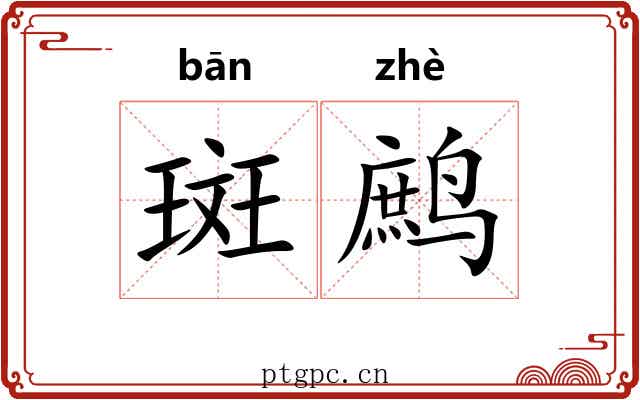 斑鹧