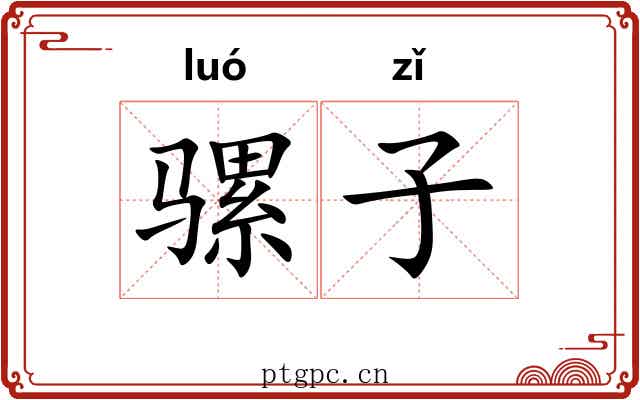 骡子 骡子