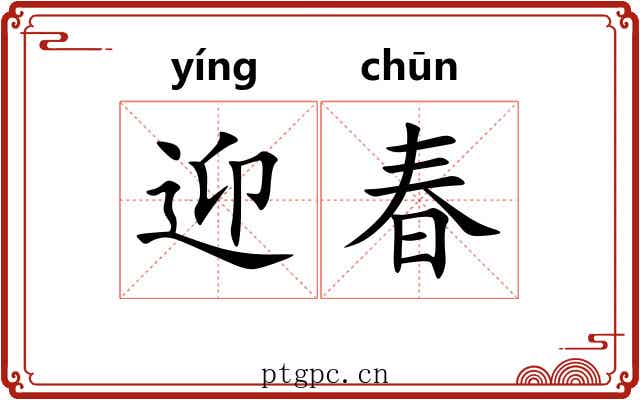 迎春 迎春